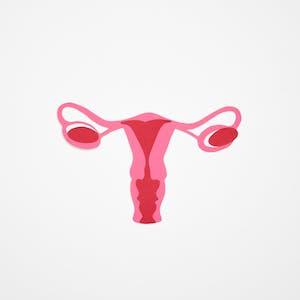PCOD / PCOS 1 pexels media 7467100 1 2