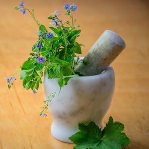 Some Natural ways to Boost Immune System 1 pexels media 105028 1