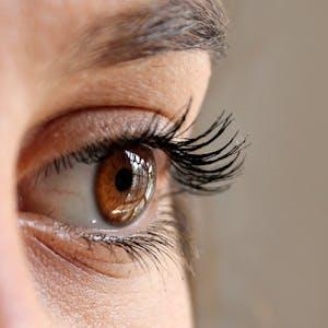 नेत्रज्योति बढाने के 6 आयुर्वेदिक उपाय - 6 Ayurvedic Tips for Eyesight Improvement 1 pexels media 63320