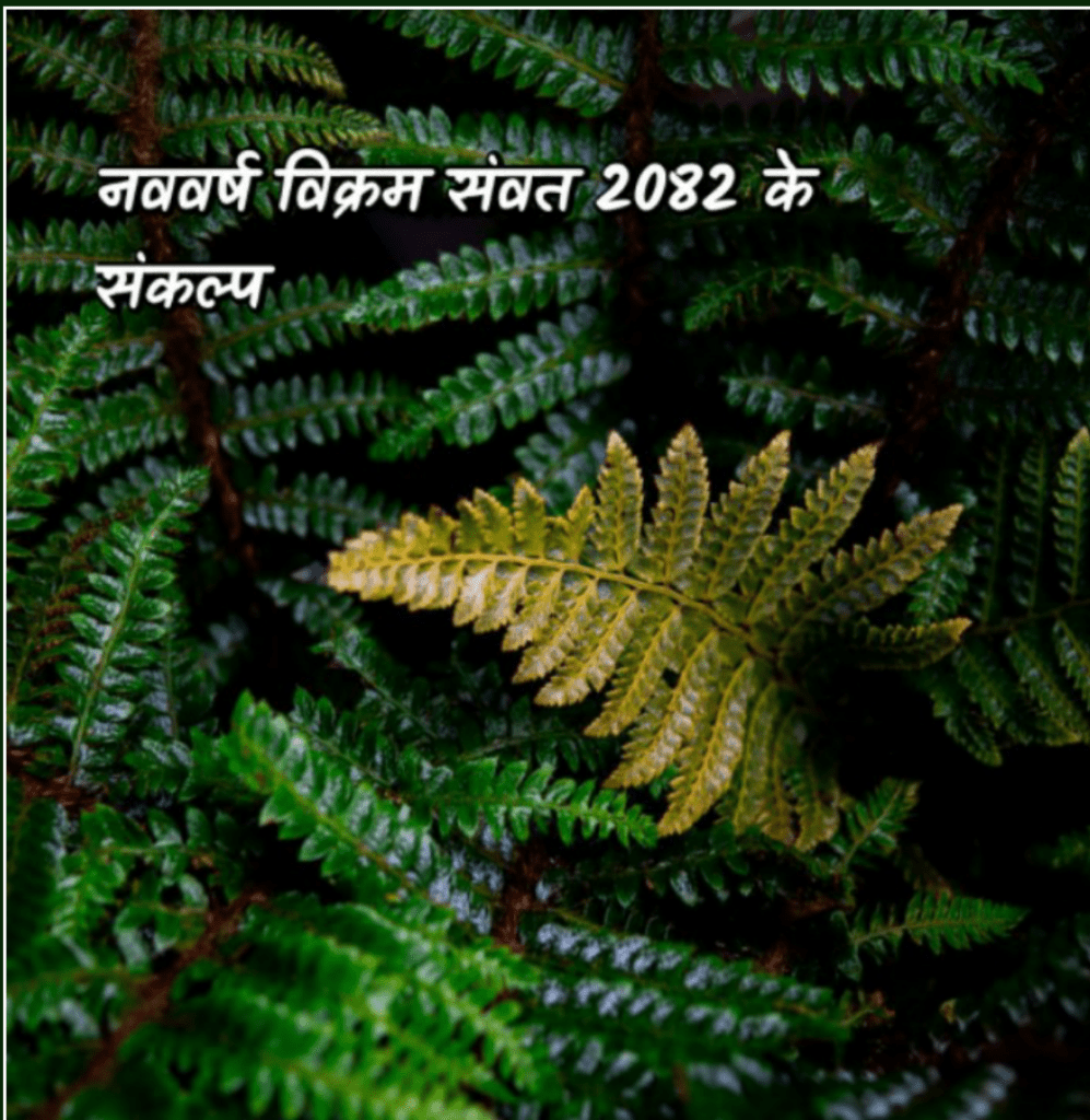 नववर्ष संकल्प 1 20250330 221503