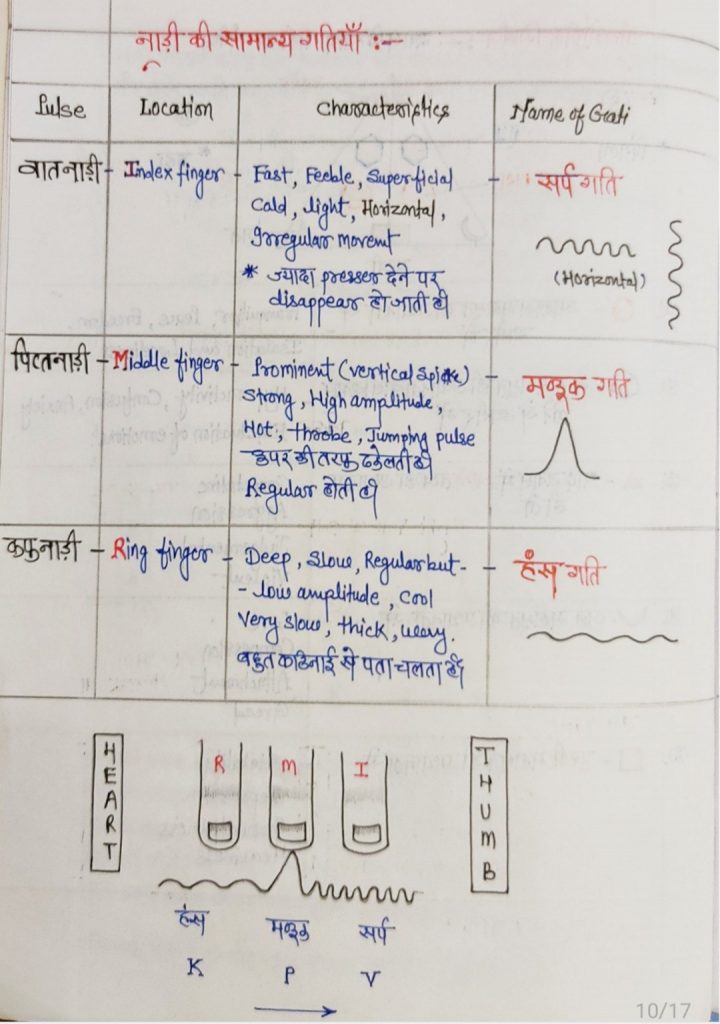 नाड़ी परीक्षा आयुर्वेद 16 20250523 104559