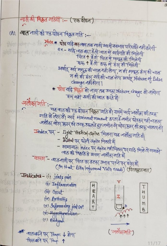 नाड़ी परीक्षा आयुर्वेद 18 20250619 082225