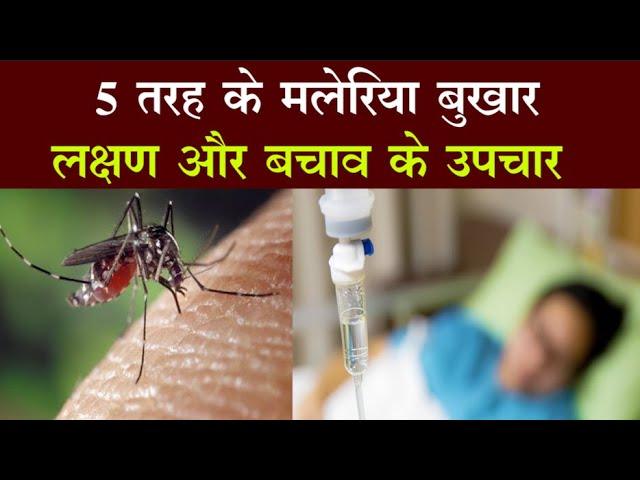 विश्व मलेरिया दिवस 25 अप्रैल: चुनौतियाँ और सम्भावनाएँ 5 image search 1745547488049