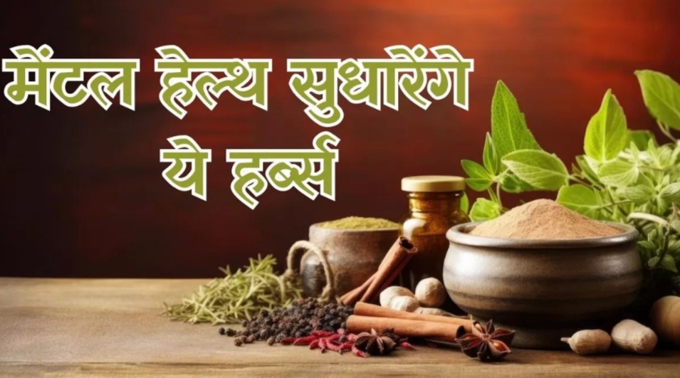 मानसिक स्वास्थ्य आयुर्वेद 1 मेंटल हेलूथ सुधारने वाली जरीबूटियां